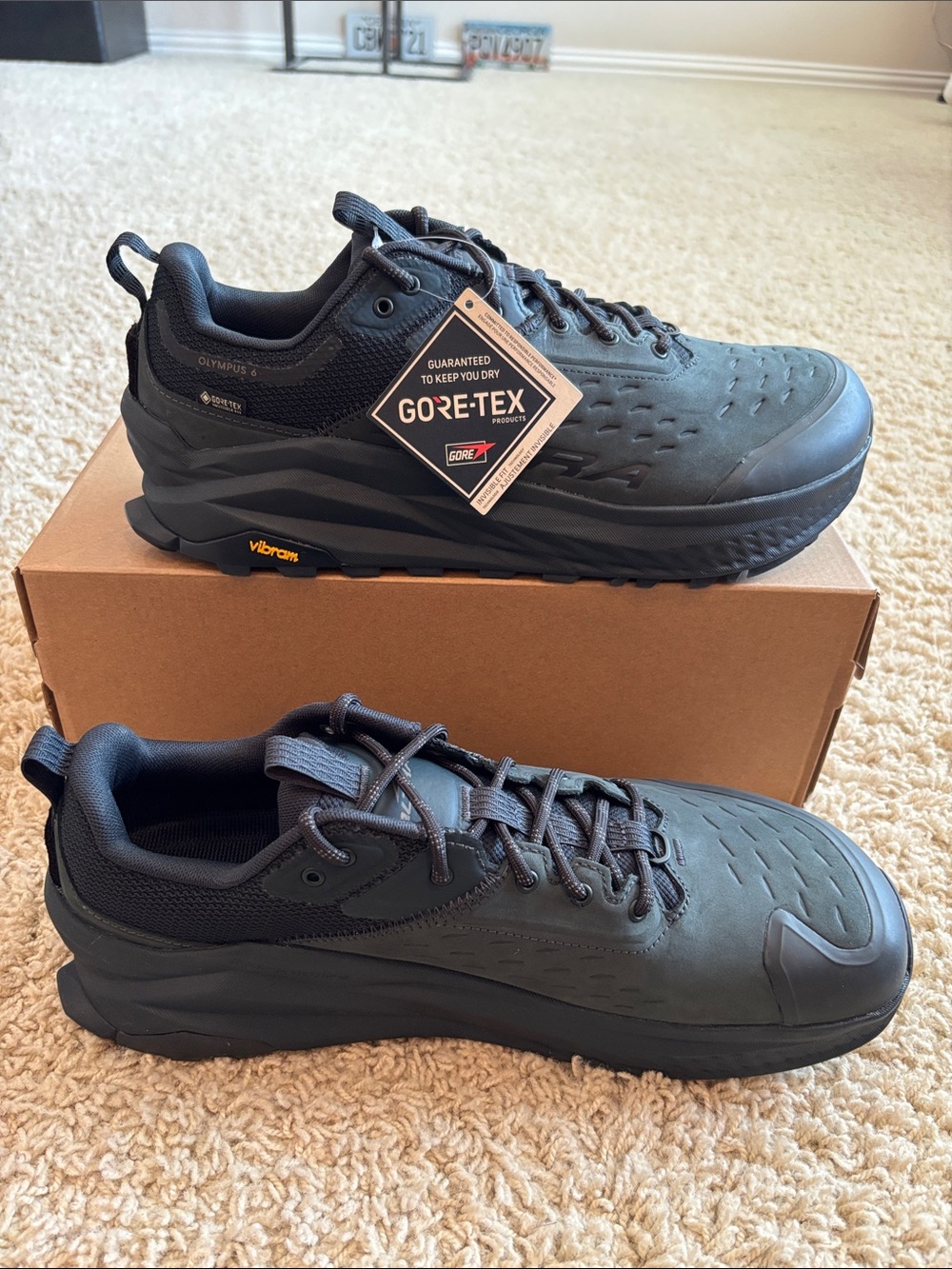 Altra M Olympus 6 Hike Low GTX